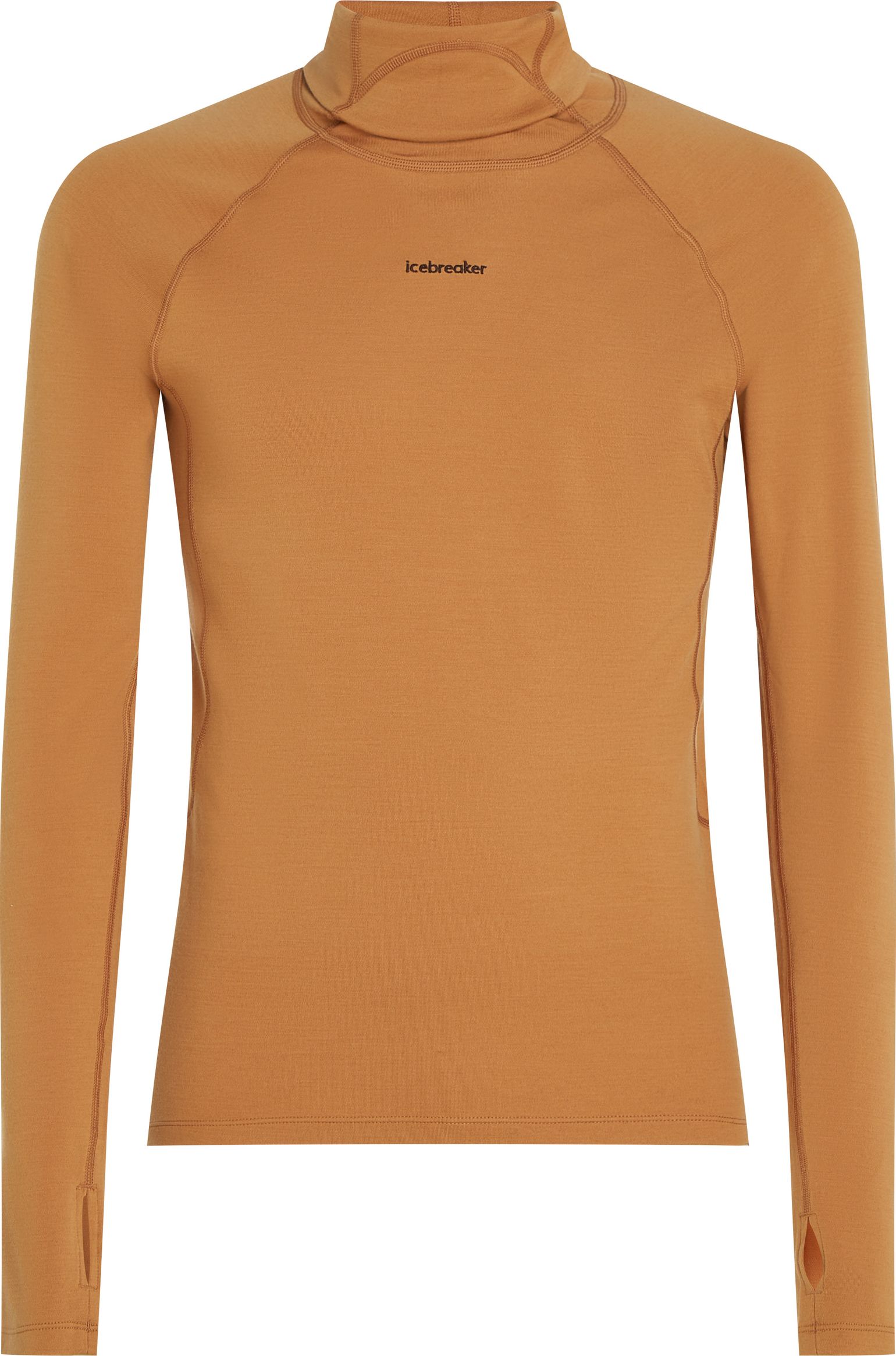 Icebreaker Men's Merino 300 Merinofine™  Polar Long Sleeve Roll Neck Trail