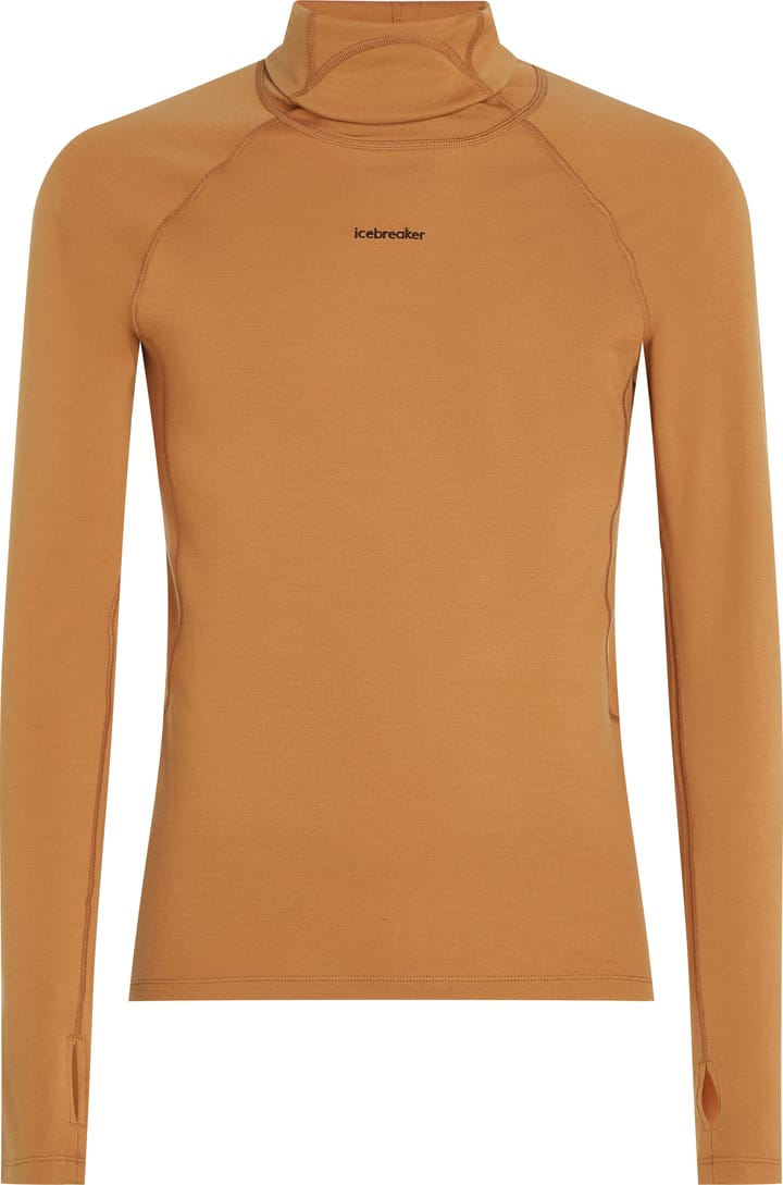 Icebreaker Men's Merino 300 Merinofine™ Polar Long Sleeve Roll Neck Trail Icebreaker