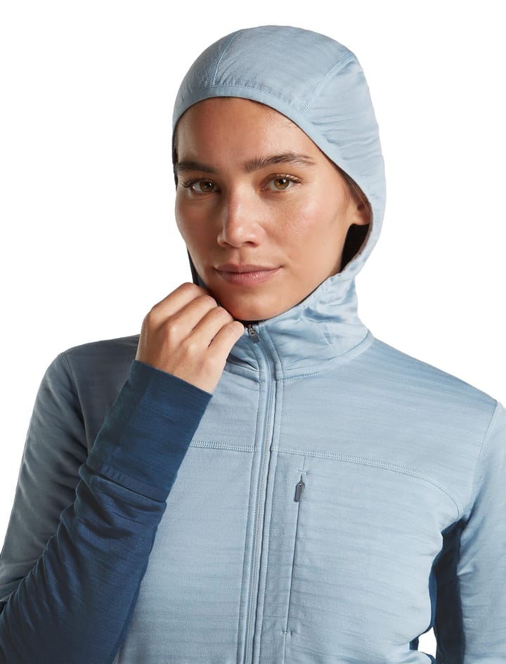 Icebreaker Wom Mer  300 Realfleece Desc Ls Zip Hoo Dawn/zincblue/cb Icebreaker