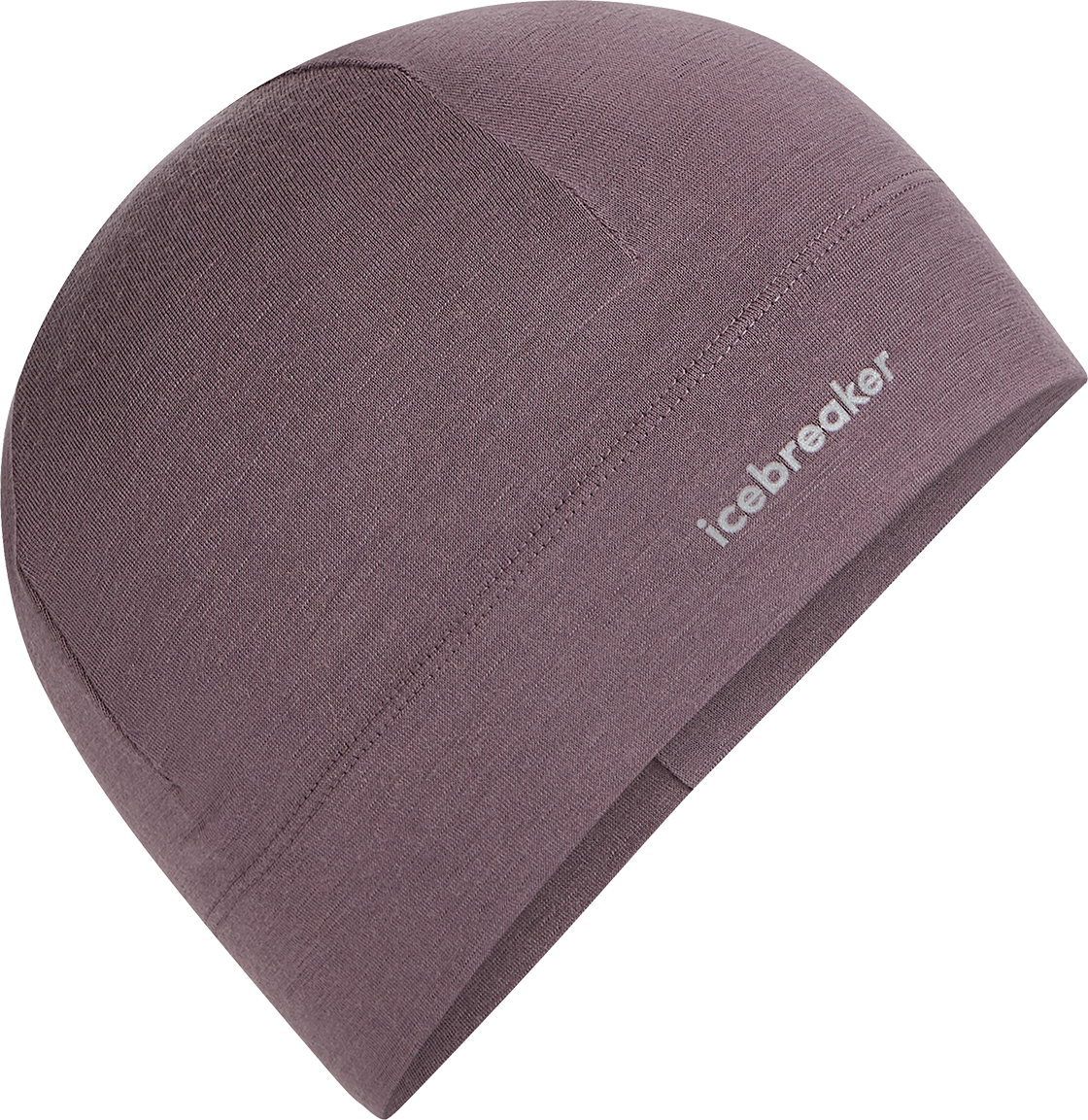 ICEBREAKER Unisex 200 Oasis Beanie mössor herr