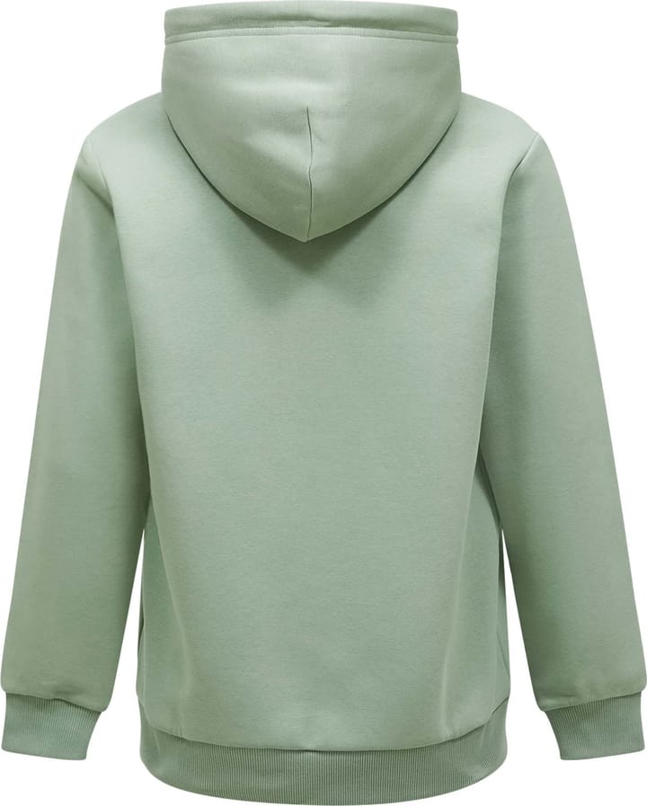 Men's Original Small Logo Zip Green Valley Peak Performance