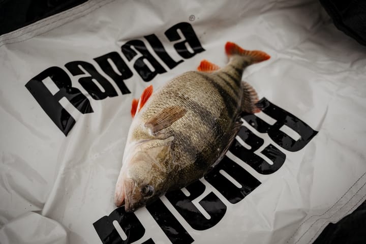 Rapala Veie- og Avkrokingsmatte Rapala