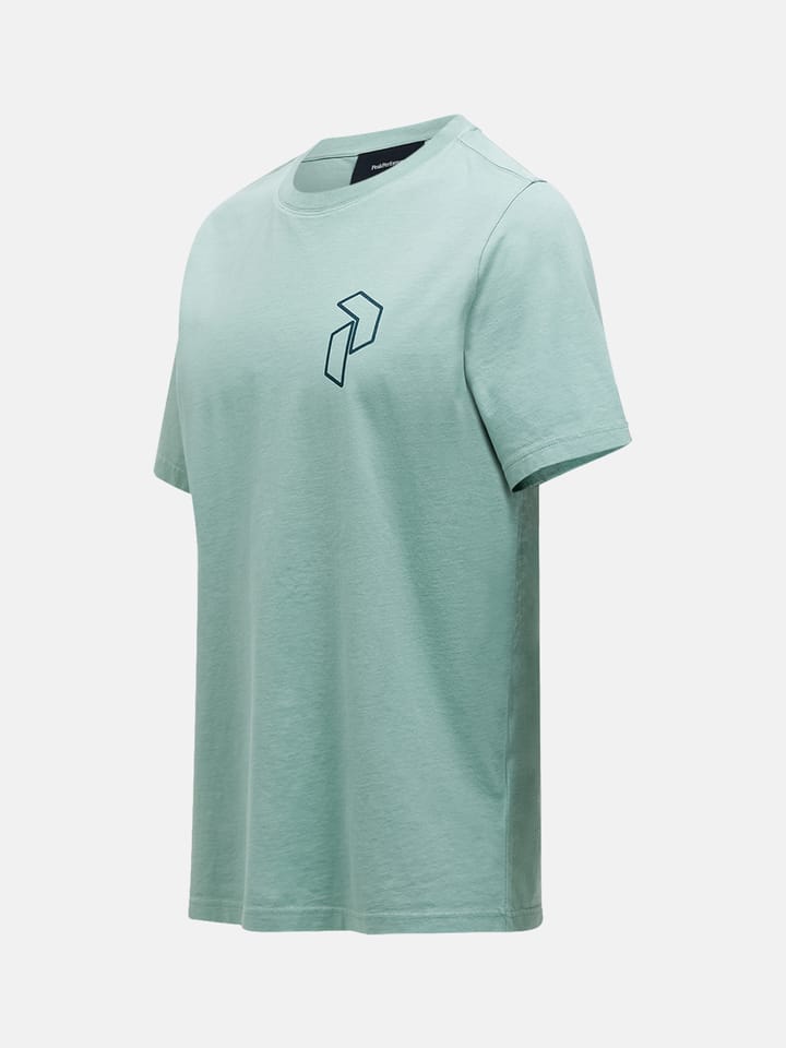 Peak Performance Men's Original Graphic Tee Green Valley Peak Performance