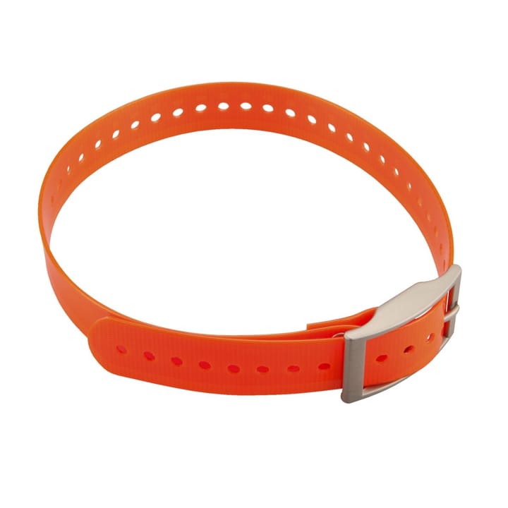 Garmin 1-inch Collar Strap Orange Garmin
