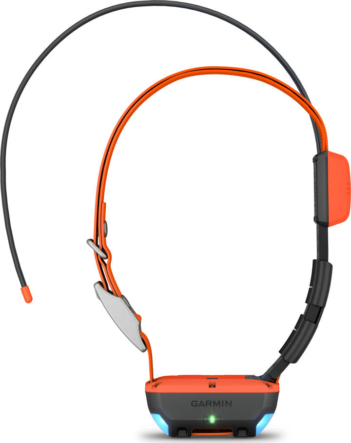 Garmin Alpha T20 GPS Collar Nordic Black Garmin