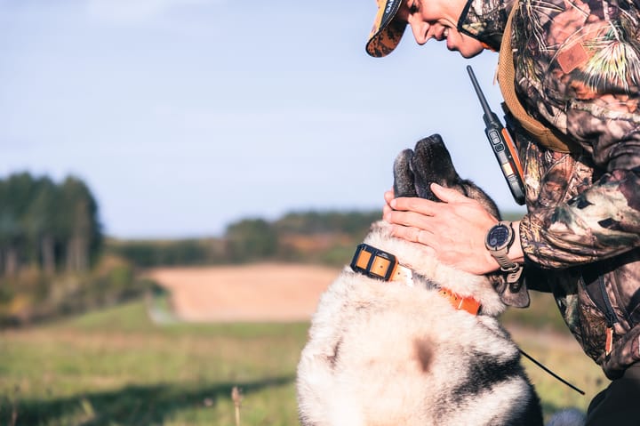 Garmin Alpha T20 GPS Collar Nordic Black Garmin