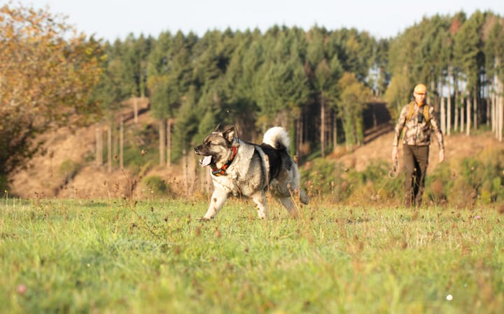 Garmin Alpha T20 GPS Collar Nordic Black Garmin