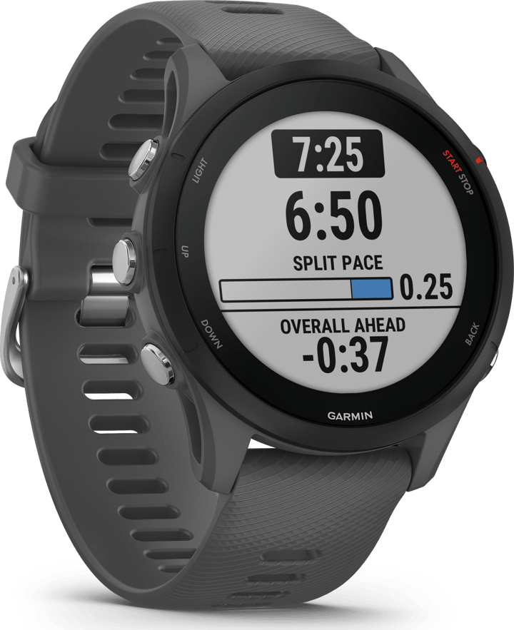 Forerunner 255 Basic Slate Grey Garmin