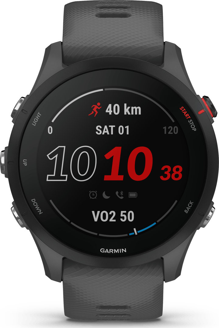 Forerunner 255 Basic Slate Grey Garmin