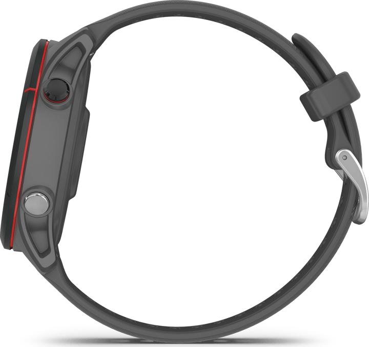 Forerunner 255 Basic Slate Grey Garmin