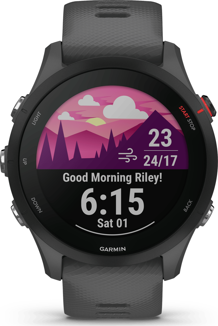 Forerunner 255 Basic Slate Grey Garmin