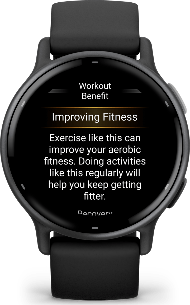 Garmin vivoactive 5 Black Slate Garmin