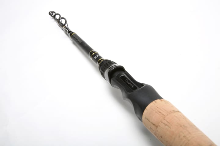 Goldcast Teleskop 180 5-25g Daiwa