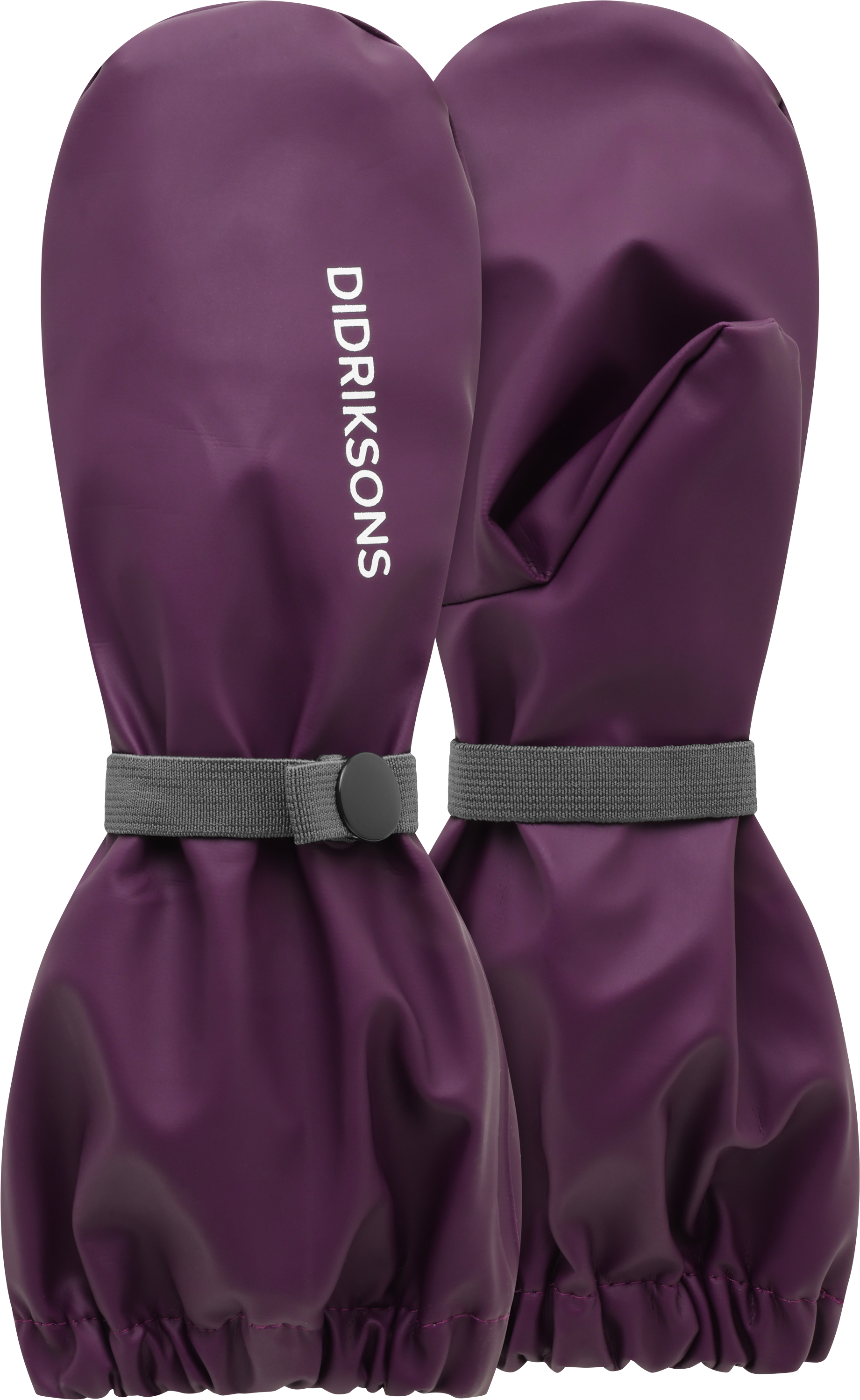 Northen purple 1
