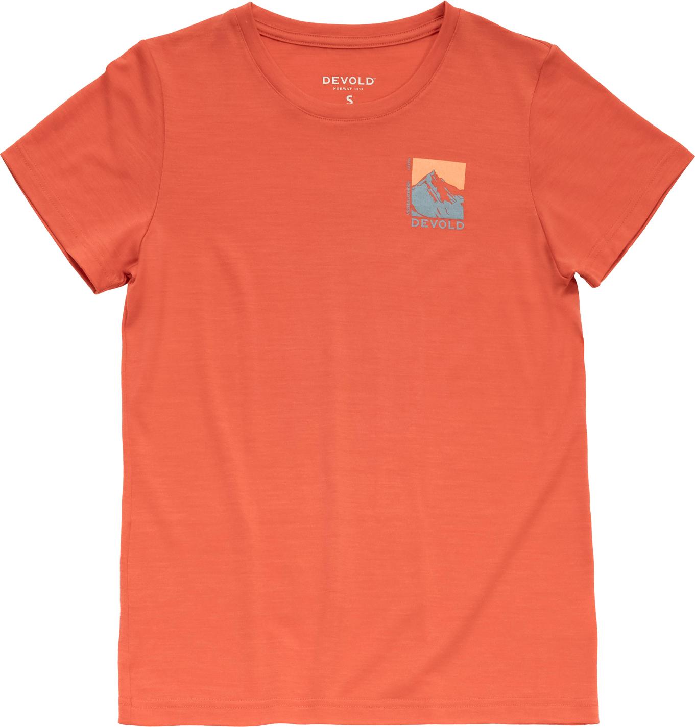 Devold Men's Classic Summit Tee