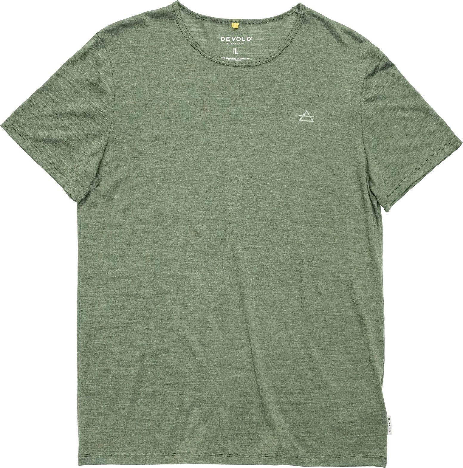 Forest 1