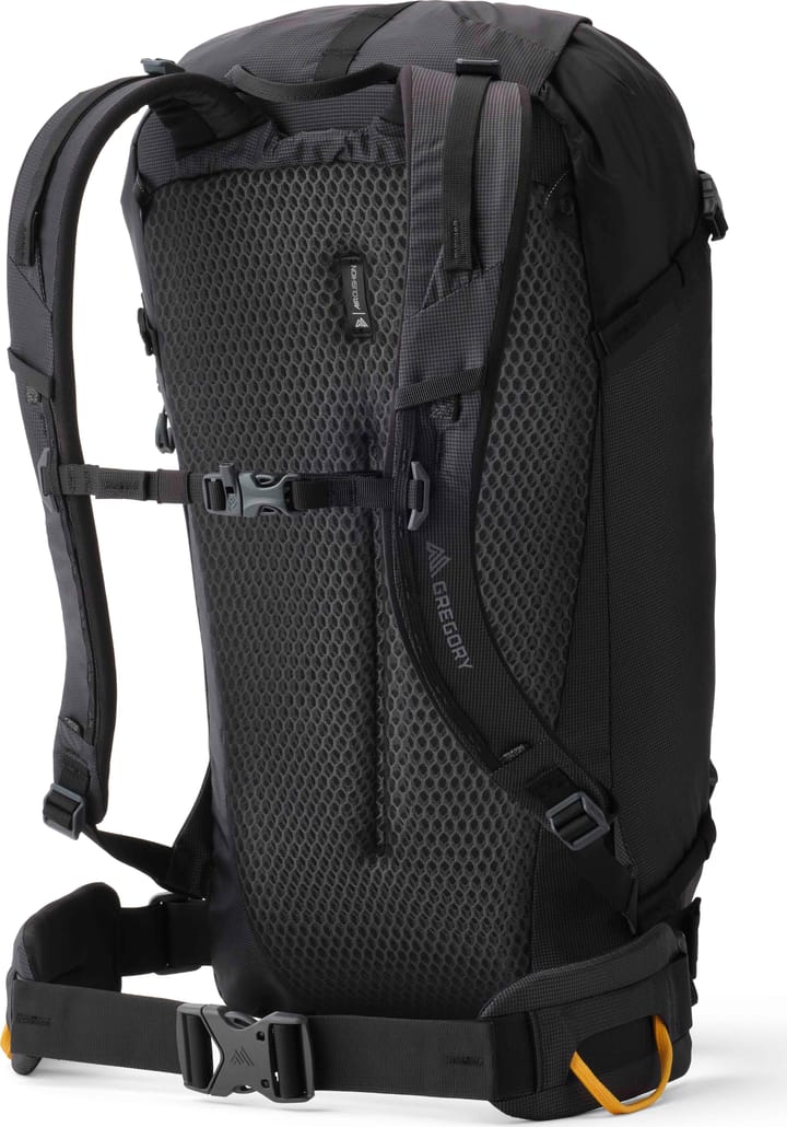 Gregory Alpinisto 30 M/L Summit Black Gregory