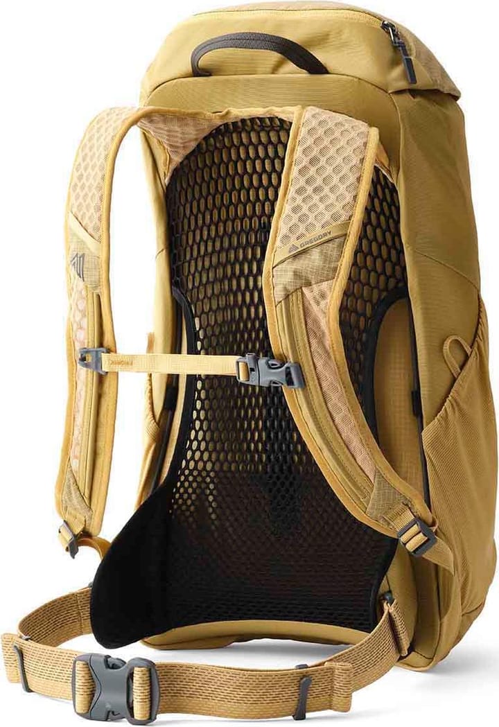 Gregory Arrio 22 RC Amber Haze Gregory