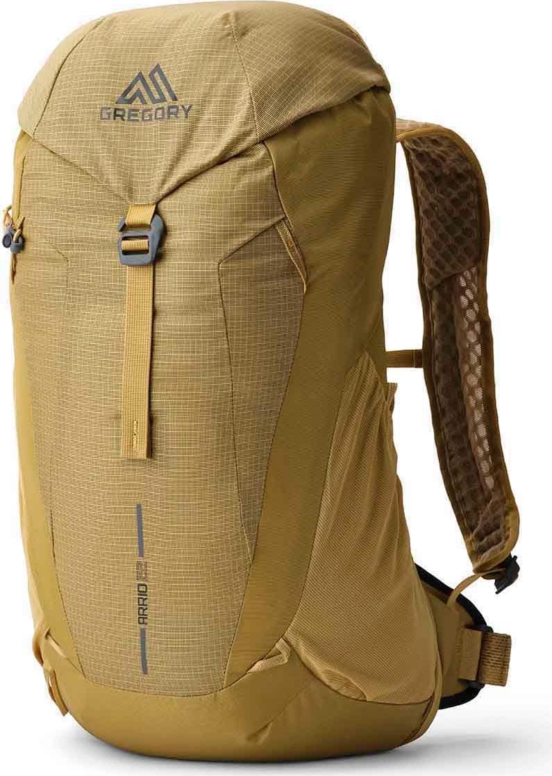 Gregory Arrio 22 RC Amber Haze