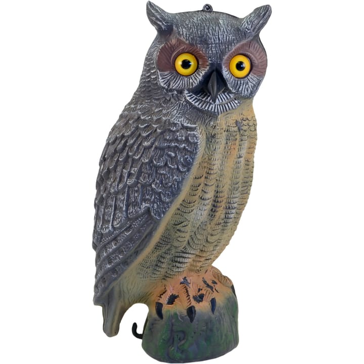 Great Horned Owl Grey Grey Oak