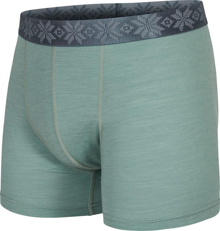 Men's Finse Merino Boxers Green Bay Gridarmor