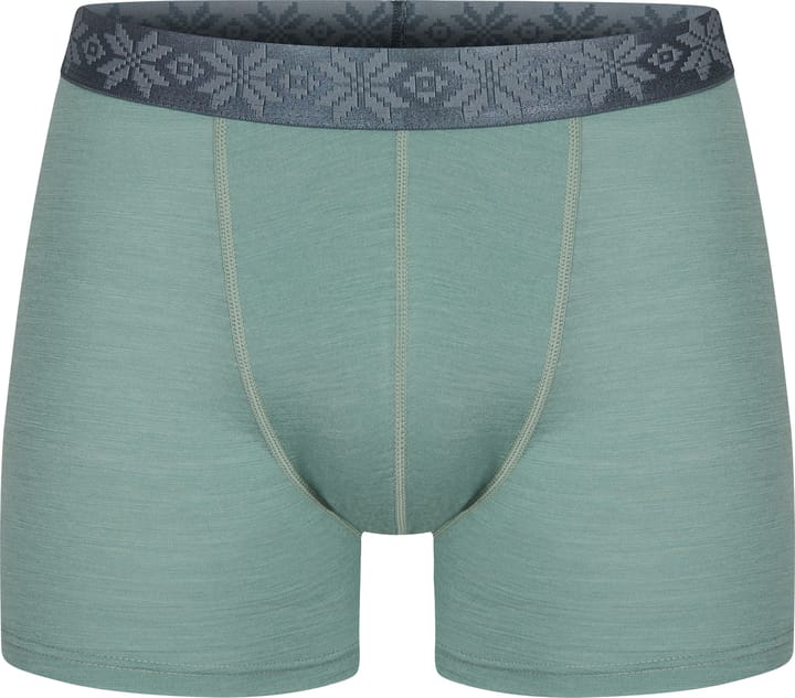 Men's Finse Merino Boxers Green Bay Gridarmor