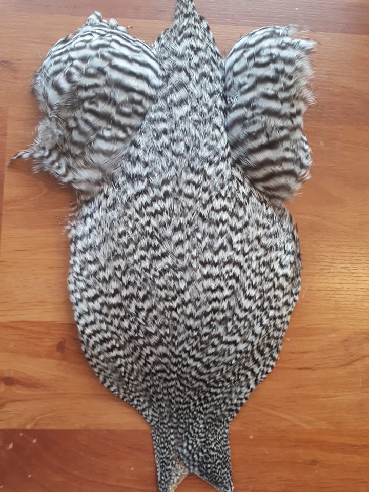FutureFly Ff Rooster Cape Grizzly FutureFly FutureFly Ff Rooster Cape Grizzly FutureFly
