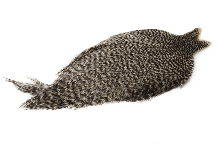 Whiting Whiting Coq De Leon Rooster Cape Unique Variant Whiting