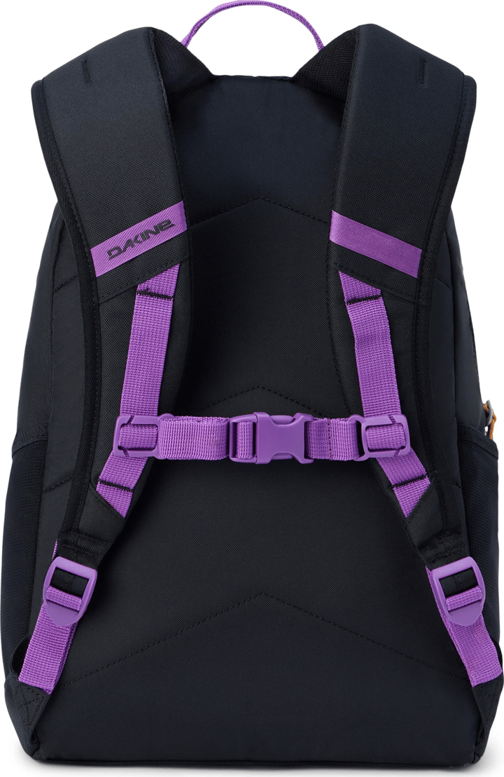 Dakine Grom Backpack 2.0 13 Purple Rein Dakine
