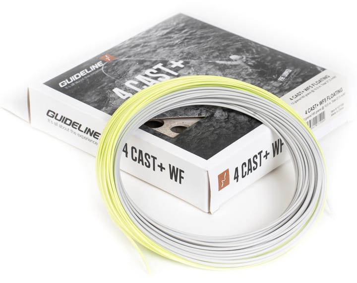 Guideline Guideline 4 Cast+ Wf Guideline