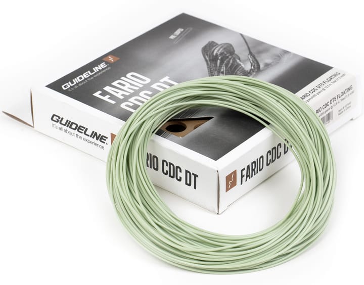 Guideline Guideline Fario Cdc Dt Guideline