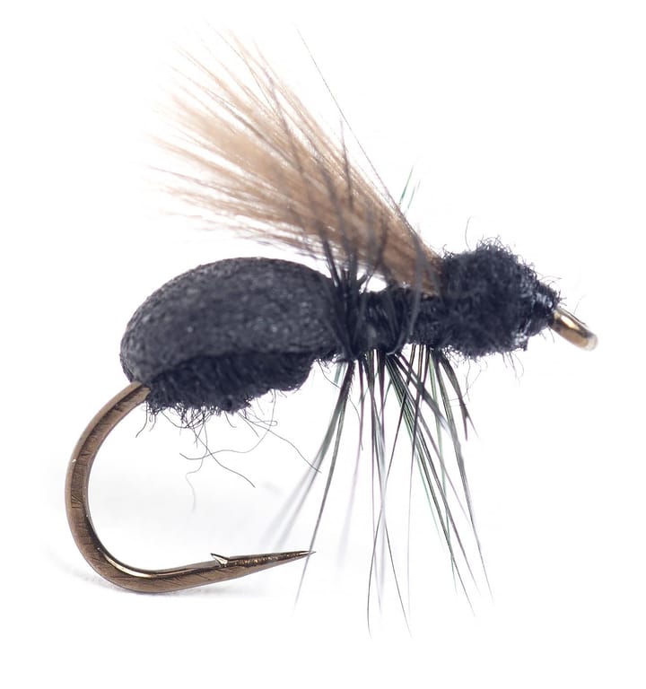 Guideline Guideline Lasius Flying Ant Guideline Guideline Guideline Lasius Flying Ant Guideline