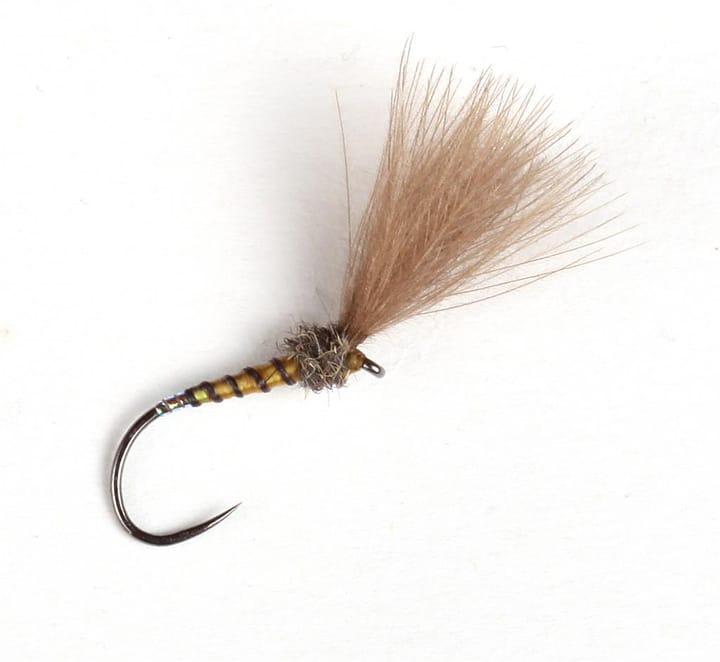 Guideline Guideline Yellow Owl Shuttlecock #16 Kjøp 12 Fluer Få Gratis Flueboks Guideline Guideline Guideline Yellow Owl Shuttlecock #16 Kjøp 12 Fluer Få Gratis Flueboks Guideline