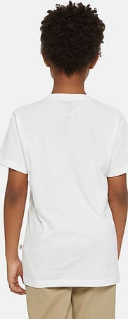 Dickies Youth Mapleton Tee White Dickies