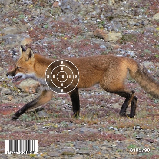Gyttorp Target Airgun Fox Nocolour