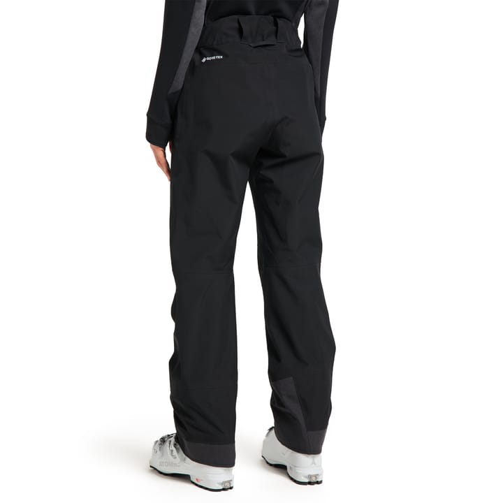Haglöfs Women's Alpine Gore-Tex Pant True Black Haglöfs