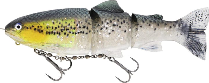 Westin Tommy The Trout Inline Westin