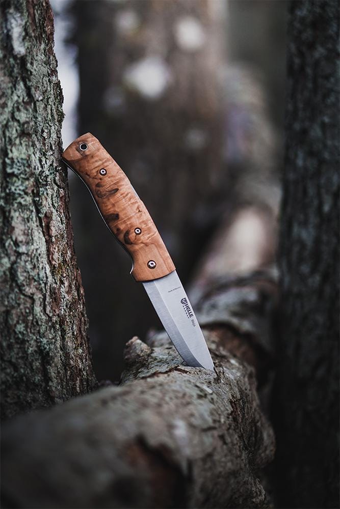 Helle Bleja Curly Birch Helle Helle Bleja Curly Birch Helle