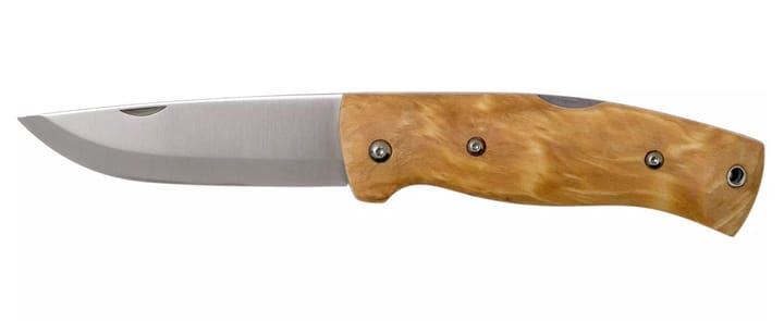 Helle Bleja Curly Birch Helle Helle Bleja Curly Birch Helle
