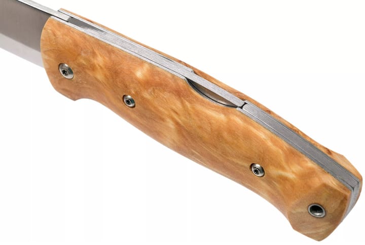 Helle Bleja Curly Birch Helle Helle Bleja Curly Birch Helle