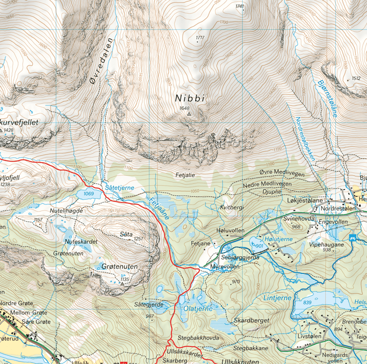 Calazo förlag Hemsedal 1:25 000 Alpine map Calazo förlag