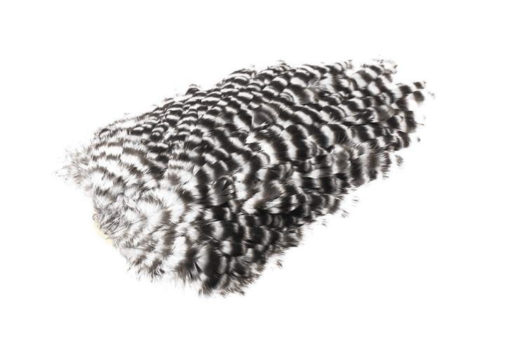 Whiting 4b Hen Saddle Whiting