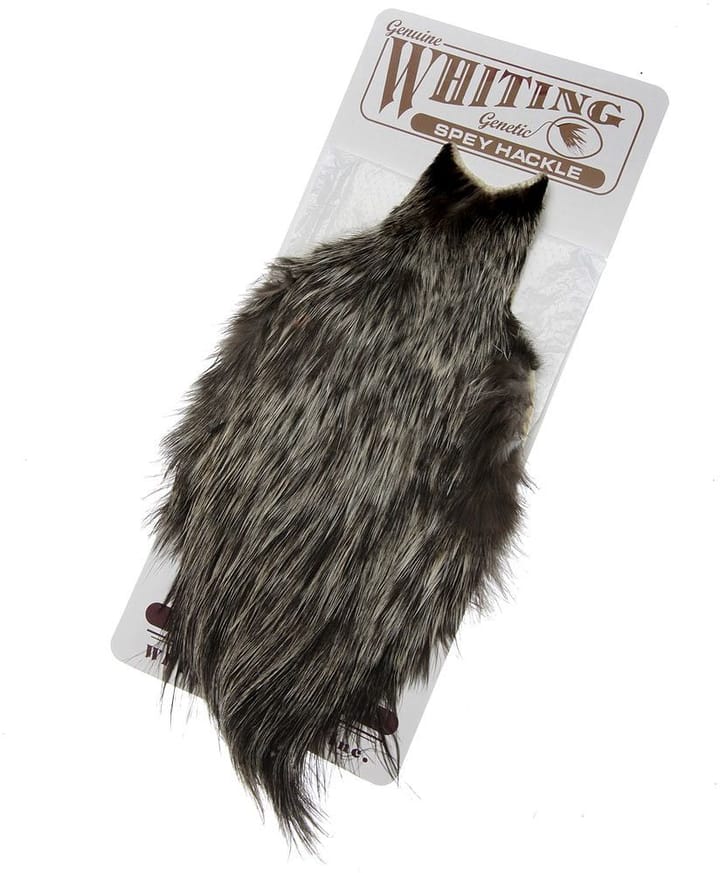 Whiting Whiting Spey Hen Cape - Variant Whiting