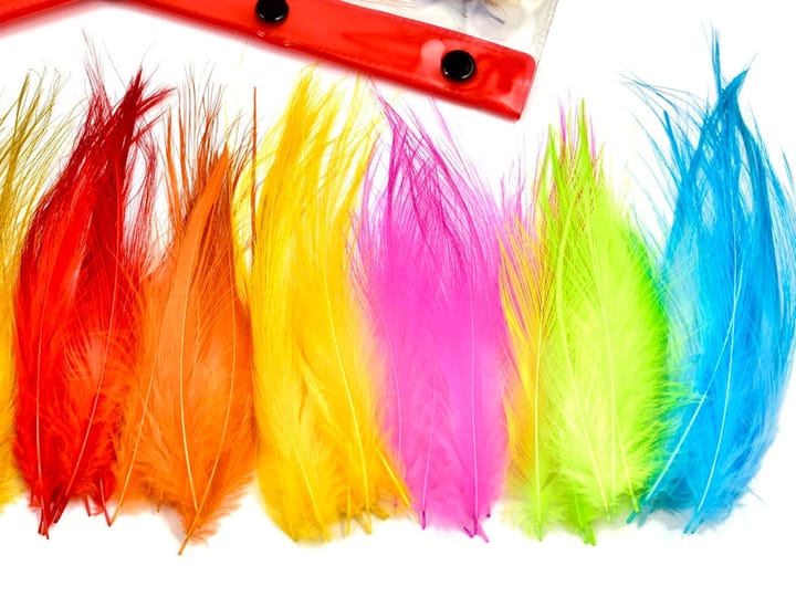 Frodin Flies Heron Hackle Feather Pack 10 Farger, 100 Fjær Frodin Flies