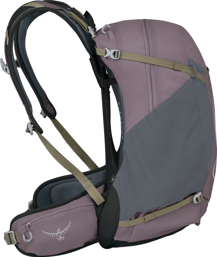 Osprey Hikelite 28 Graphite Purple Osprey