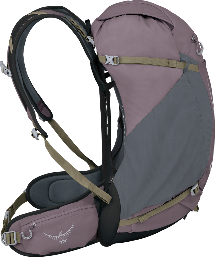 Osprey Hikelite 32 Graphite Purple Osprey