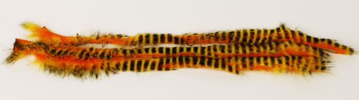 Hareline Tiger Barred Magnum Rabbit Strips Black Barred/Yellow Tipped Hot Orange Hareline Hareline Tiger Barred Magnum Rabbit Strips Black Barred/Yellow Tipped Hot Orange Hareline
