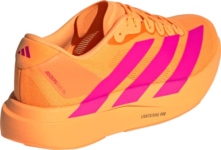 Adidas Men's Adizero Evo SL Flash Oerange / Shock Pink / Iron Metallic Adidas Adidas Men's Adizero Evo SL Flash Oerange / Shock Pink / Iron Metallic Adidas