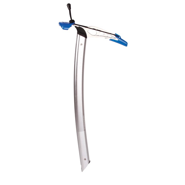 Blue Ice Hummingbird Light Grey Blue Ice