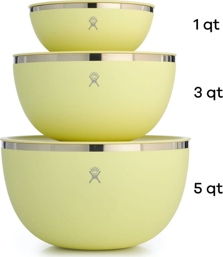 Serving Bowl With Lid 2839 ml Birch Hydro Flask